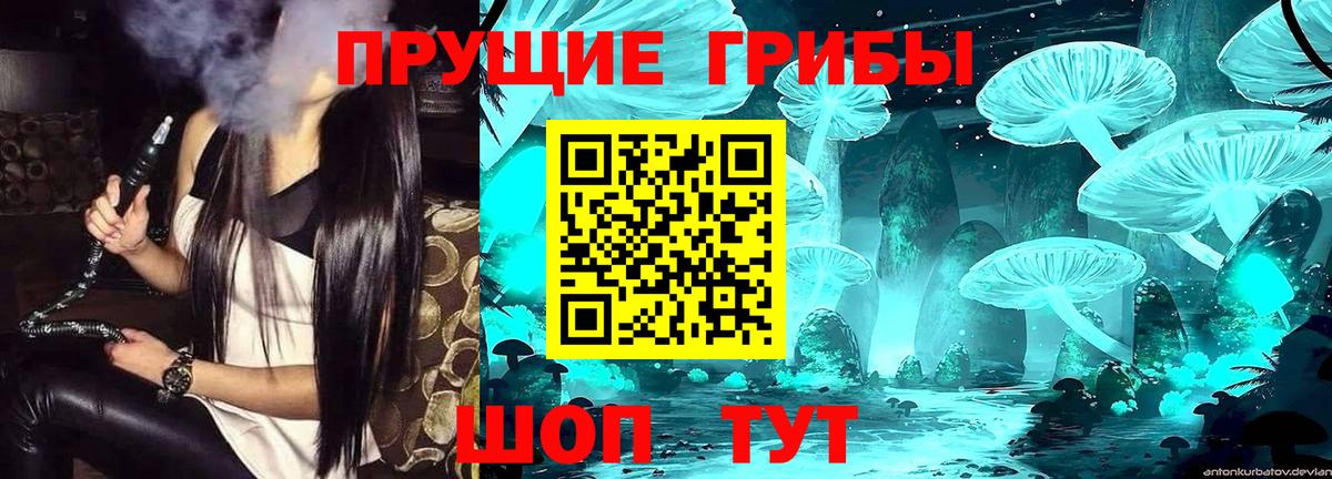 Галлюциногенные грибы мухоморы  Вход с VPN  Псилоцибиновые грибы Psilocybine cubensis  Зеленокумск 