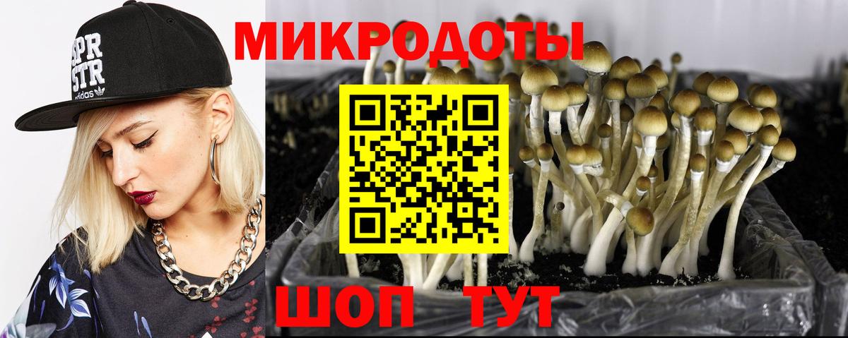 Галлюциногенные грибы мицелий Зеленокумск